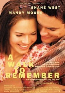  ก้าวสู่ฝันวันหัวใจพบรัก 2002 โปสเตอร์