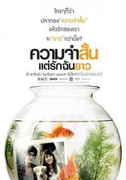 ความจำสั้น แต่รักฉันยาว 2006 โปสเตอร์