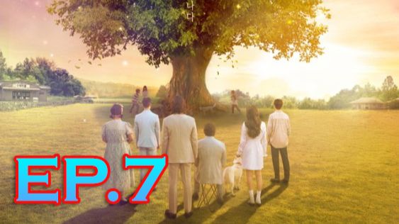 ตอนที่ 7
