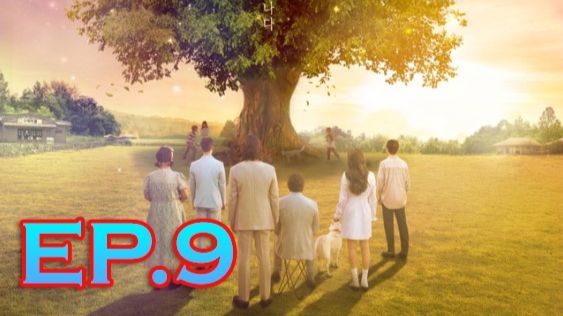ตอนที่ 9