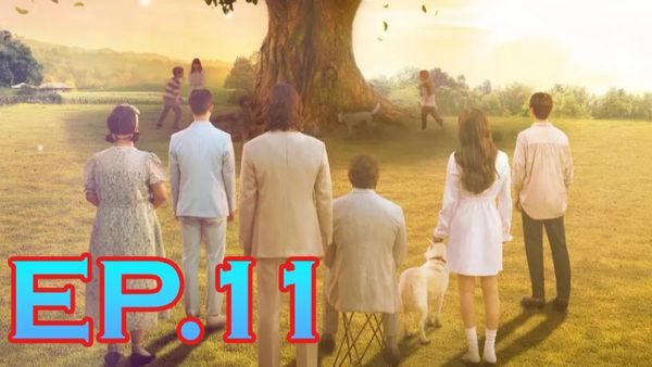 ตอนที่ 11