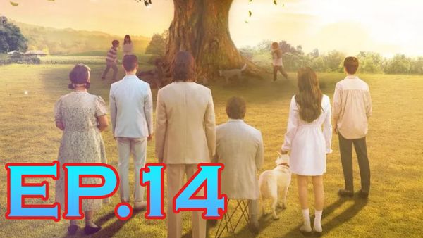 ตอนที่ 13