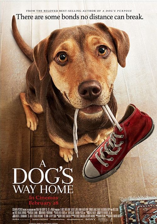 โปสเตอร์ เพื่อนรักผจญภัยสี่ร้อยไมล์ (2019)