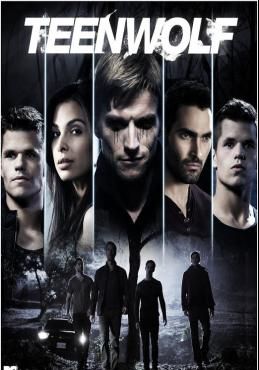หนุ่มน้อยมนุษย์หมาป่า ปี 6 โปสเตอร์