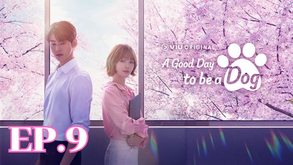 ตอนที่ 9