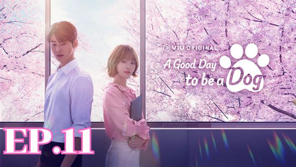 ตอนที่ 11