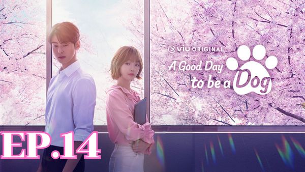 ตอนที่ 14