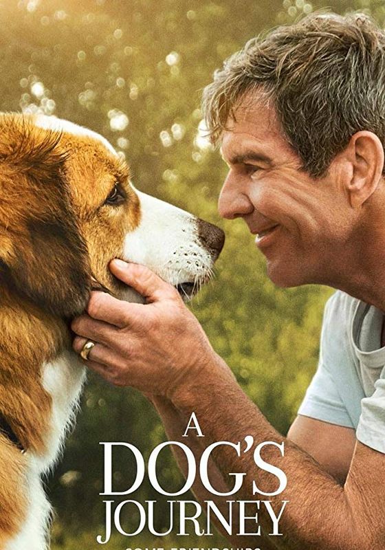 โปสเตอร์ หมา เป้าหมาย และเด็กชายของผม 2 (2019)